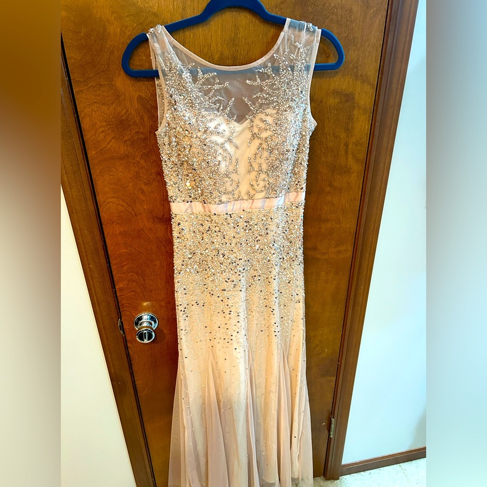 Adrianna Pepell rose gold dress.